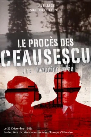 Постер: The Ceausescu Trial: A Stolen Revolution