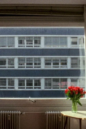 Постер: 21.3 °C