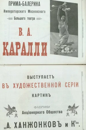Постер: Хризантемы