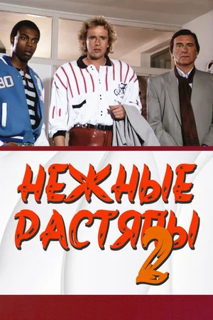 Постер: Нежные растяпы 2