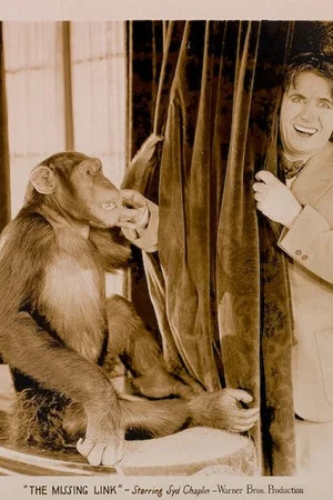 Постер: The Missing Link