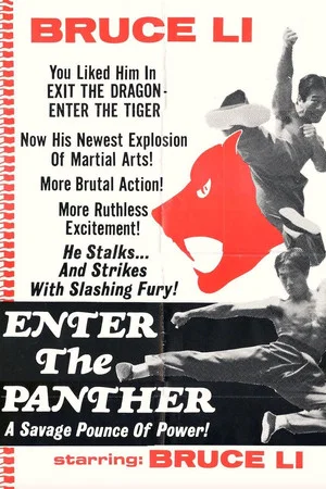 Постер: Enter the Panther
