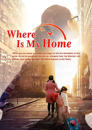 Постер: Where Is My Home?