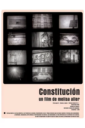 Постер: Constitution