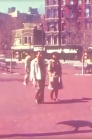 Постер: Terrific Measures
