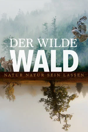 Постер: The Wild Forest