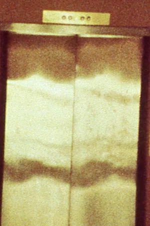 Постер: Door