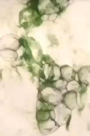 Постер: marble