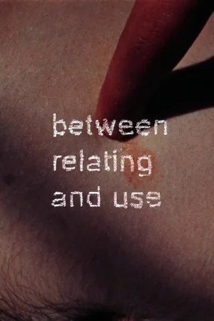 Постер: Between Relating and Use