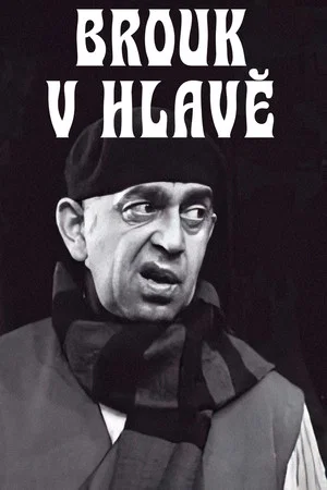 Постер: Brouk v hlavě