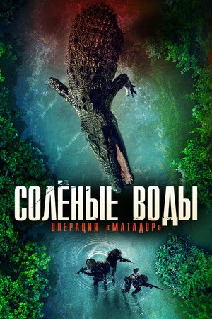 Постер: Солёные воды: Операция "Матадор"