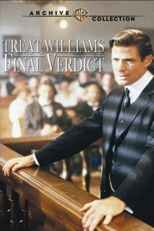 Постер: Final Verdict