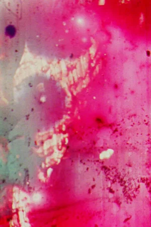Постер: The Production and Decay of Strange Particles