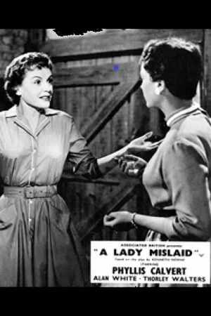 Постер: A Lady Mislaid
