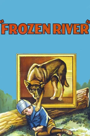 Постер: Frozen River