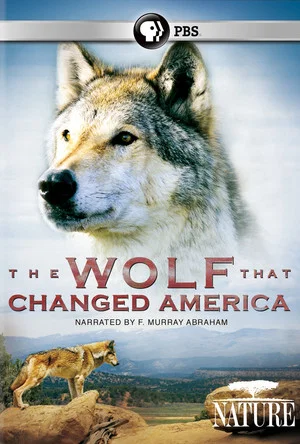 Постер: Lobo: The Wolf That Changed America