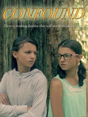 Постер: Confound