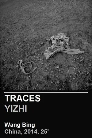 Постер: Traces