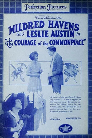 Постер: The Courage of the Commonplace