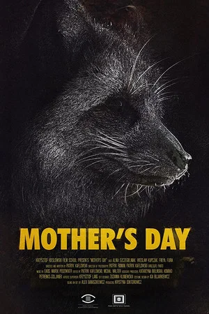 Постер: Mother's Day
