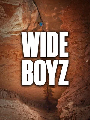 Постер: Wide Boyz