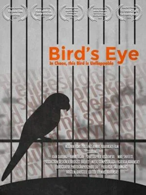 Постер: Bird's Eye