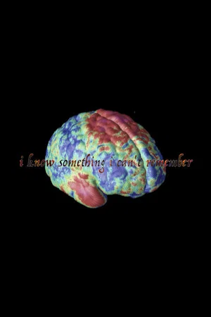 Постер: I Know Something I Can't Remember