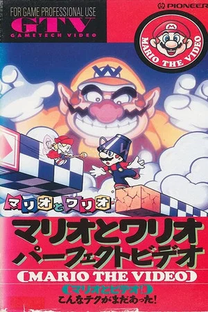 Постер: Mario & Wario Perfect Video