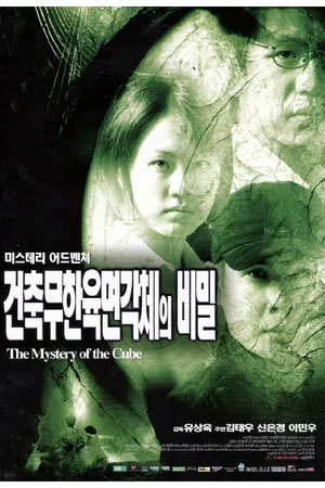 Постер: A Mystery of the Cube