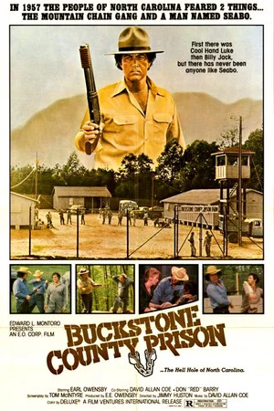 Постер: Buckstone County Prison