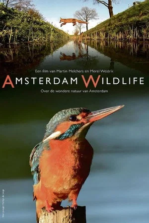 Постер: Amsterdam Wildlife