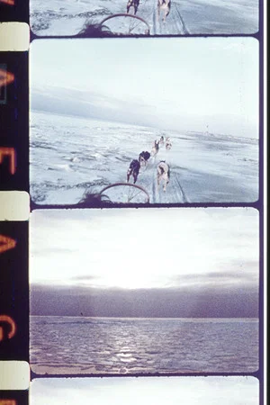 Постер: Photophthalmia