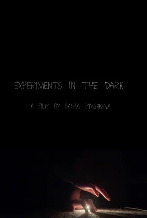 Постер: Experiments in the Dark
