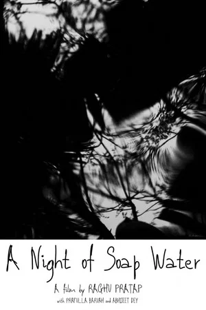Постер: A Night of Soap Water