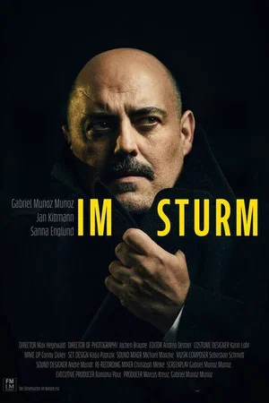 Постер: Im Sturm