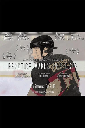 Постер: Practice Makes Perfect?
