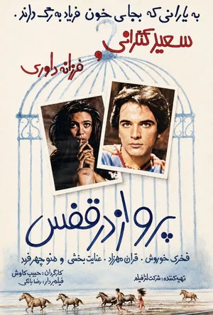 Постер: Flying in a Cage