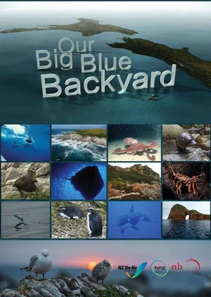 Постер: Our Big Blue Backyard