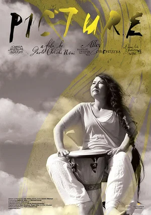 Постер: Picture