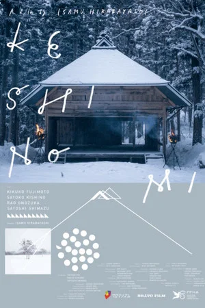 Постер: Keshinomi
