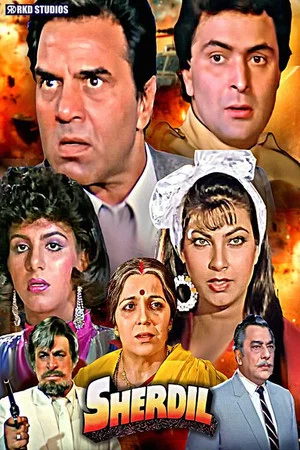 Постер: Sher Dil