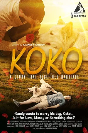 Постер: Koko