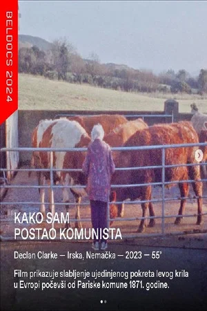 Постер: How I Became A Communist