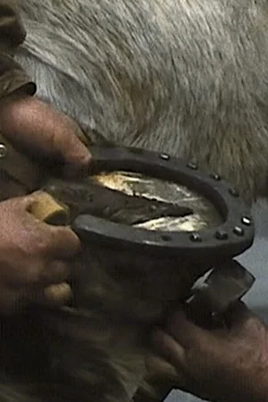 Постер: The Farrier
