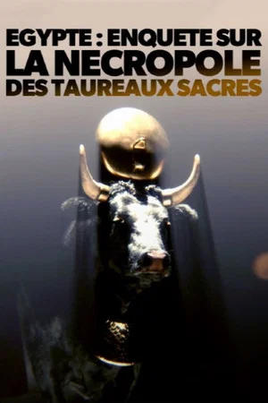 Постер: Égypte - Enquête sur la nécropole des taureaux sacrés