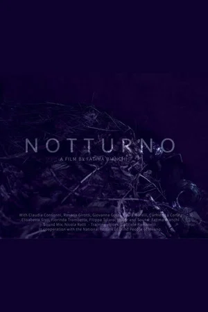 Постер: Notturno