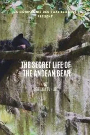 Постер: La vie secrète de l’ours à lunettes