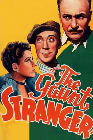 Постер: The Gaunt Stranger