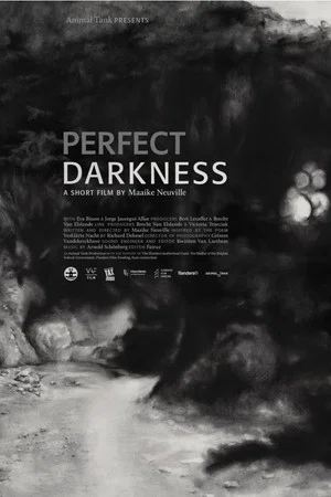 Постер: Perfect Darkness