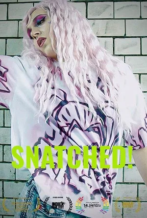 Постер: Snatched!